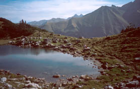 Guggersee (Blick nach S&uuml;dosten)