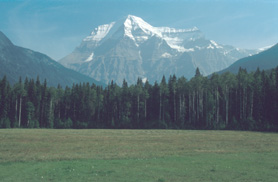 Mt. Robson