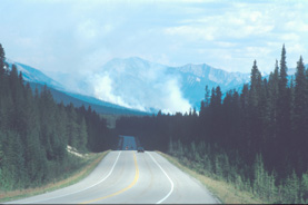 A prescribed burn somewhere in Kootenay