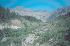 At the avalance run-out zone: The ascent leads more than 1300m upwards.