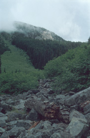 Trail to Middle Joffre Lake