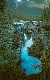 Athabasca Falls