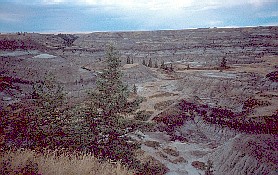 Horse Shoe Canyon