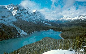 Peyto Lake
