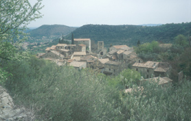 Cevennes