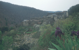 La Coste