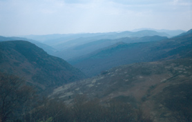 Corniche des Cevennes