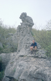 Bois de Paiolive <i>(&copy;MPJ)</i>