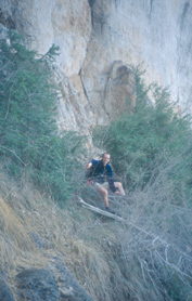 Vegetation on the trail <i>(&copy;MPJ)</i>