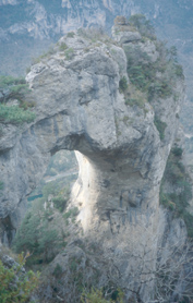 Baus del Biel <i>(&copy;MPJ)</i>