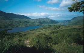 Ladies View
