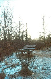 Pfaffenberg (Sp&auml;therbst 1992)