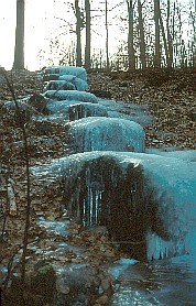 Pfaffenbrunnen (Sp&auml;therbst 1992)