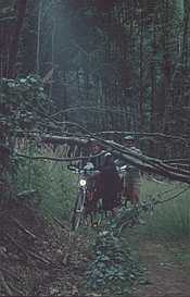 Waldweg mit Hindernissen