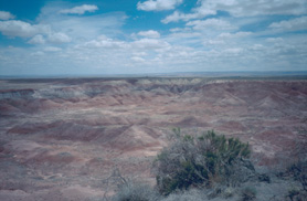 Painted desert