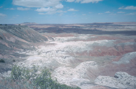 Painted desert