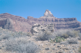 Zoroaster with a tiny tree on a large boulder in the foreground