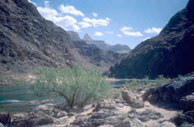 River Trail along Colorado river (view eastwards)