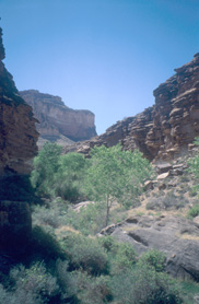 Canyon of Garden Creek
