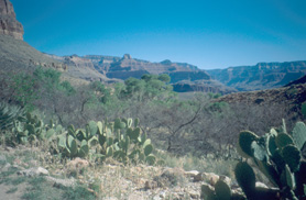 The rangers' view