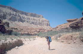 The start of Hualapai Canyon