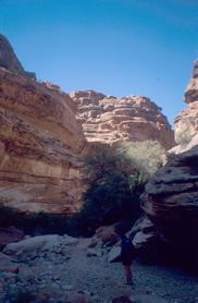 Hualapai Canyon