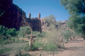 Supai Village