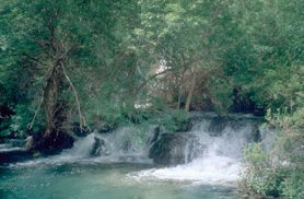 Navajo Falls (lower right part)
