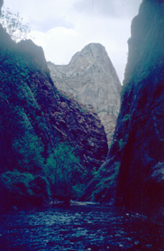 View into the Narrows