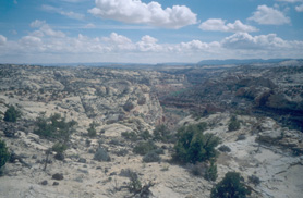 Escalante River(?) in Grand Staircase-Escalante NM