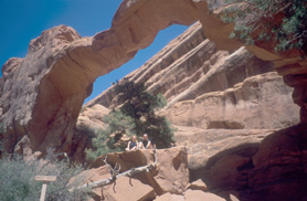 Wall Arch