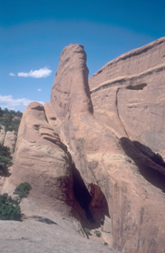 Private Arch