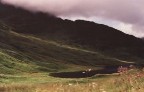 Schottland 1994